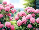 石楠花和石楠树一样吗
