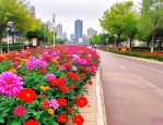 2025年兰州市安宁区送花
