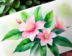 绿宝开花是什么样子的