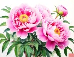 牡丹花怎么养才能开花