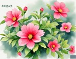 2025年好听花的名字大全