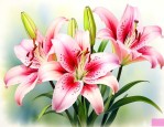 百合花是风媒花还是虫媒花