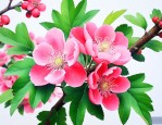 海棠花和山楂花的区别