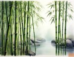 竹子的意义象征着什么