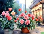 晚上卖花什么地方好卖
