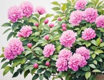 2025年谷雨时节开什么花