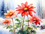 冬天开放的花有什么花