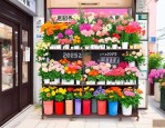 2025年石家庄市花店电话