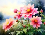 什么花在几点开放时间