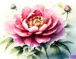 牡丹花传播种子的方法