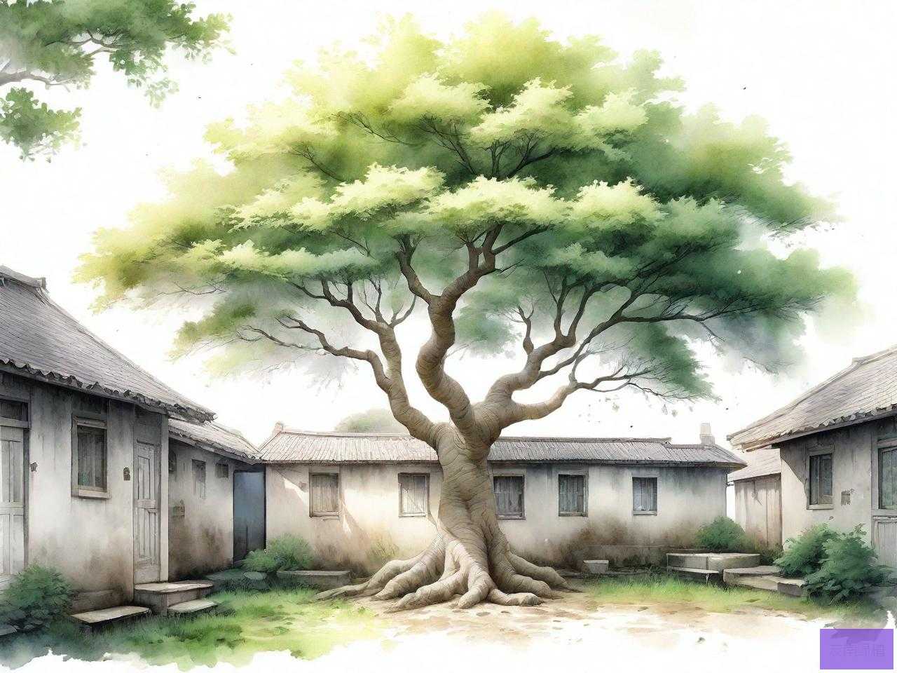 家中种槐树到底好不好