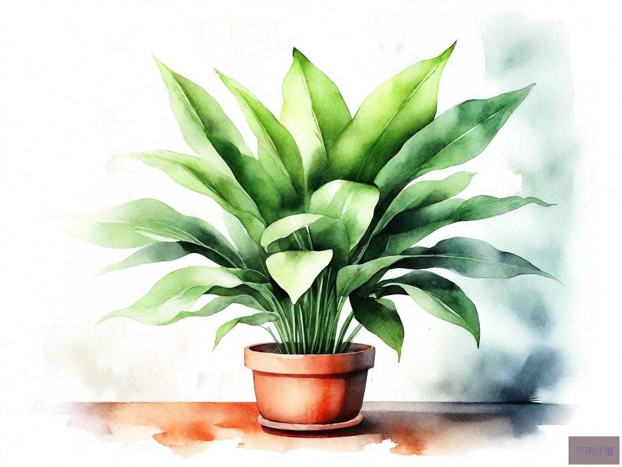 室内摆什么植物吸甲醛