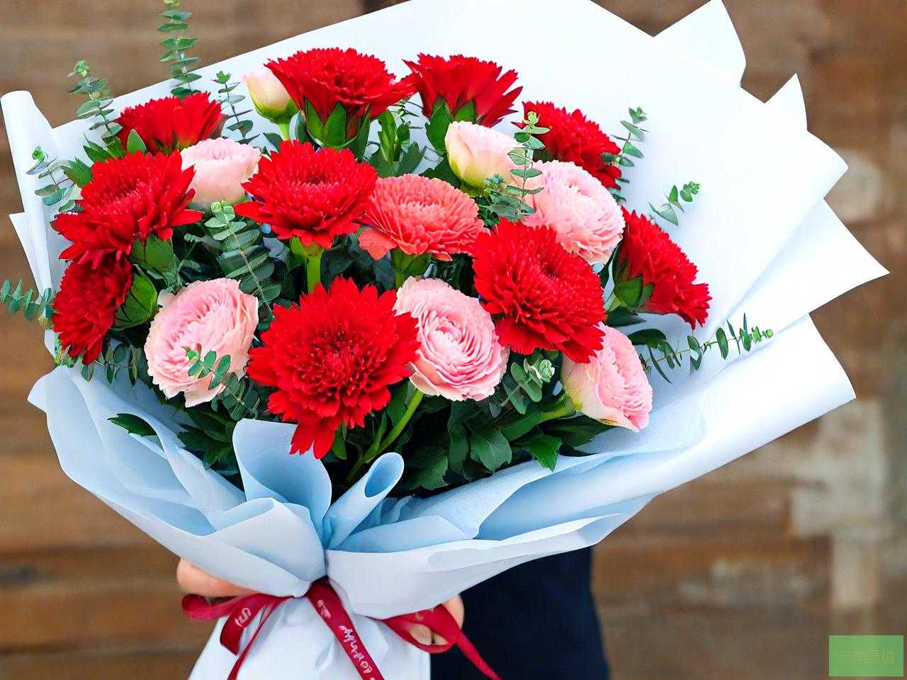 男性长辈生日送什么花
