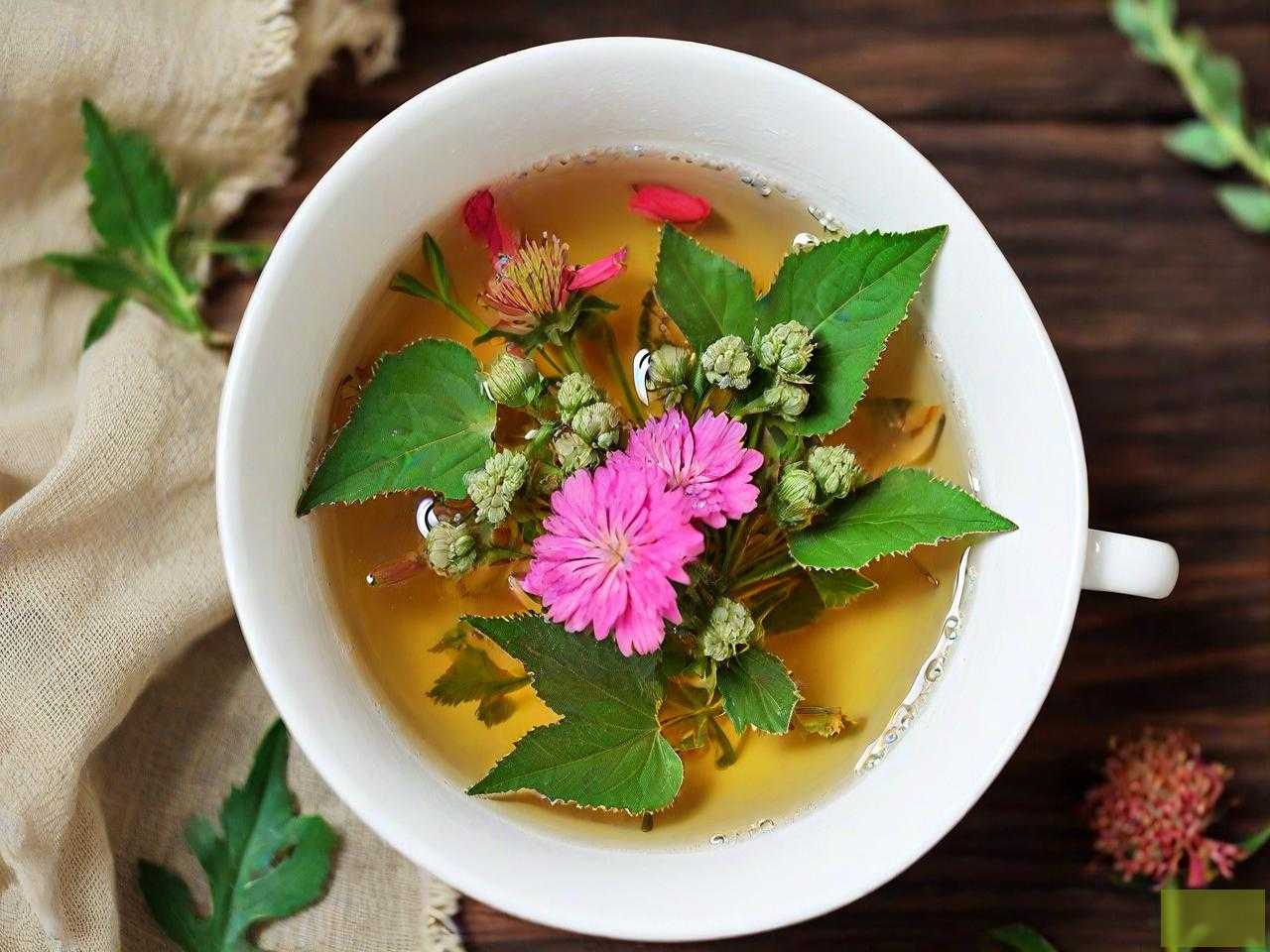 夏天喝三七花泡茶好吗