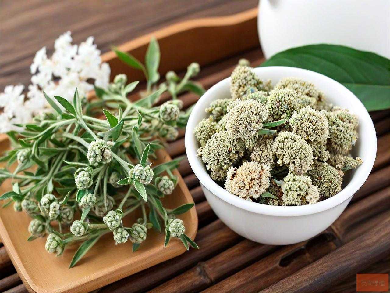 好的三七花多少钱一斤