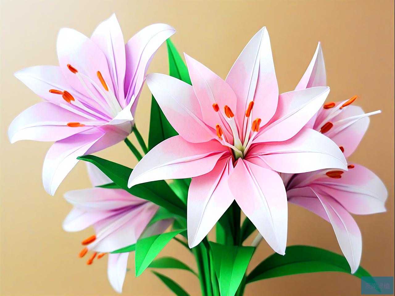 怎么折百合花简单折法