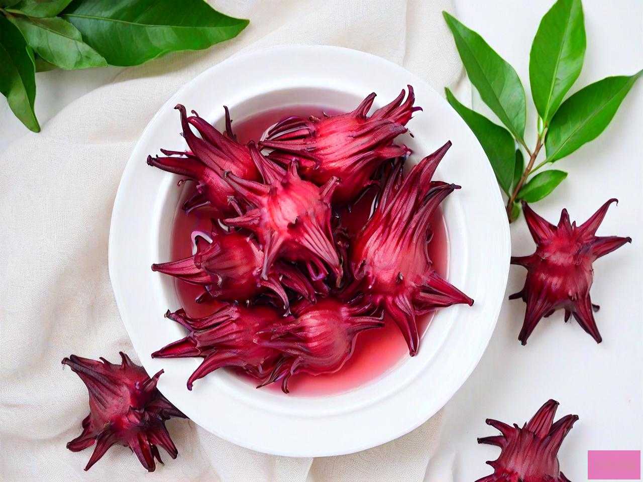 洛神花一天喝多少合适