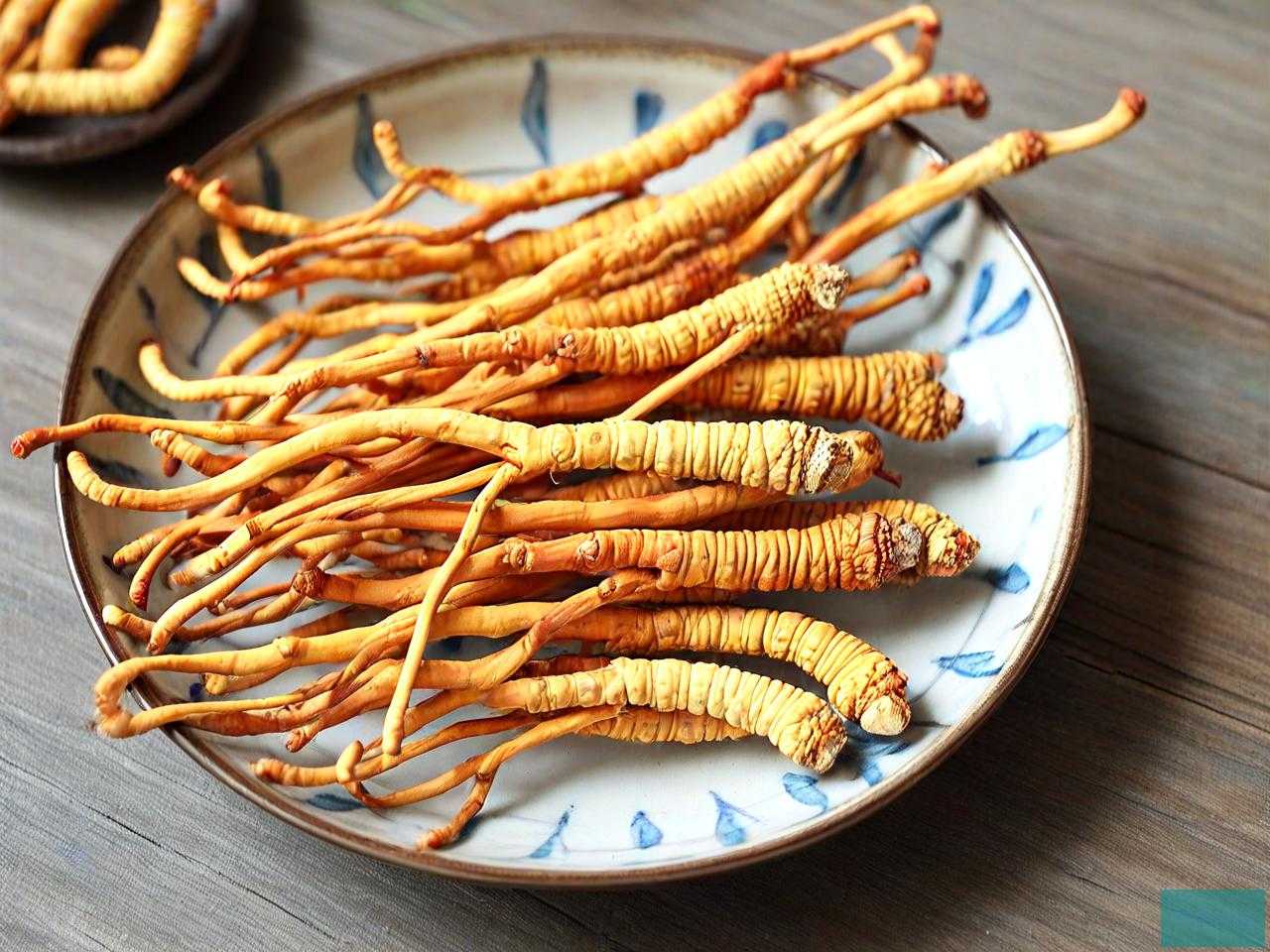 虫草花对胃病有好处吗