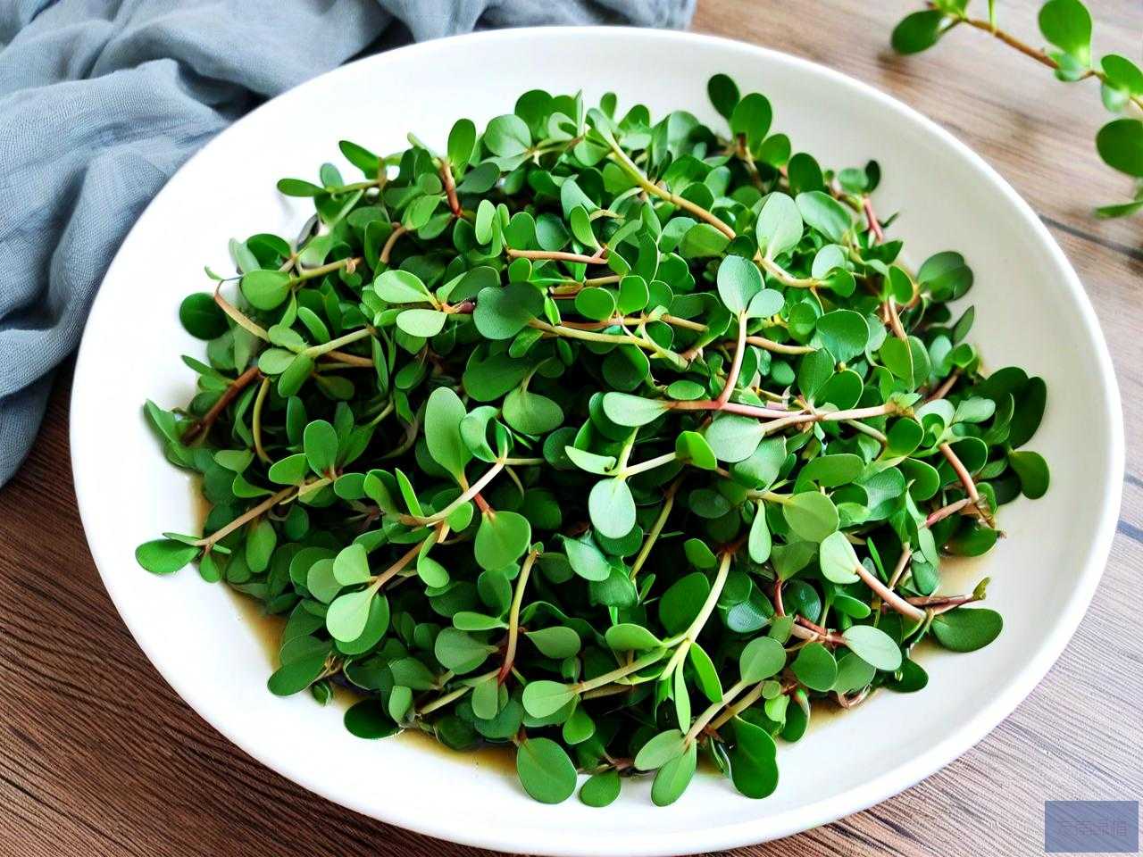 新鲜马齿苋怎么炒好吃