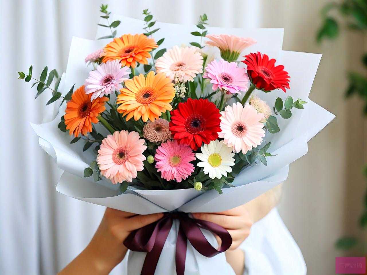 中年女性生日送什么花