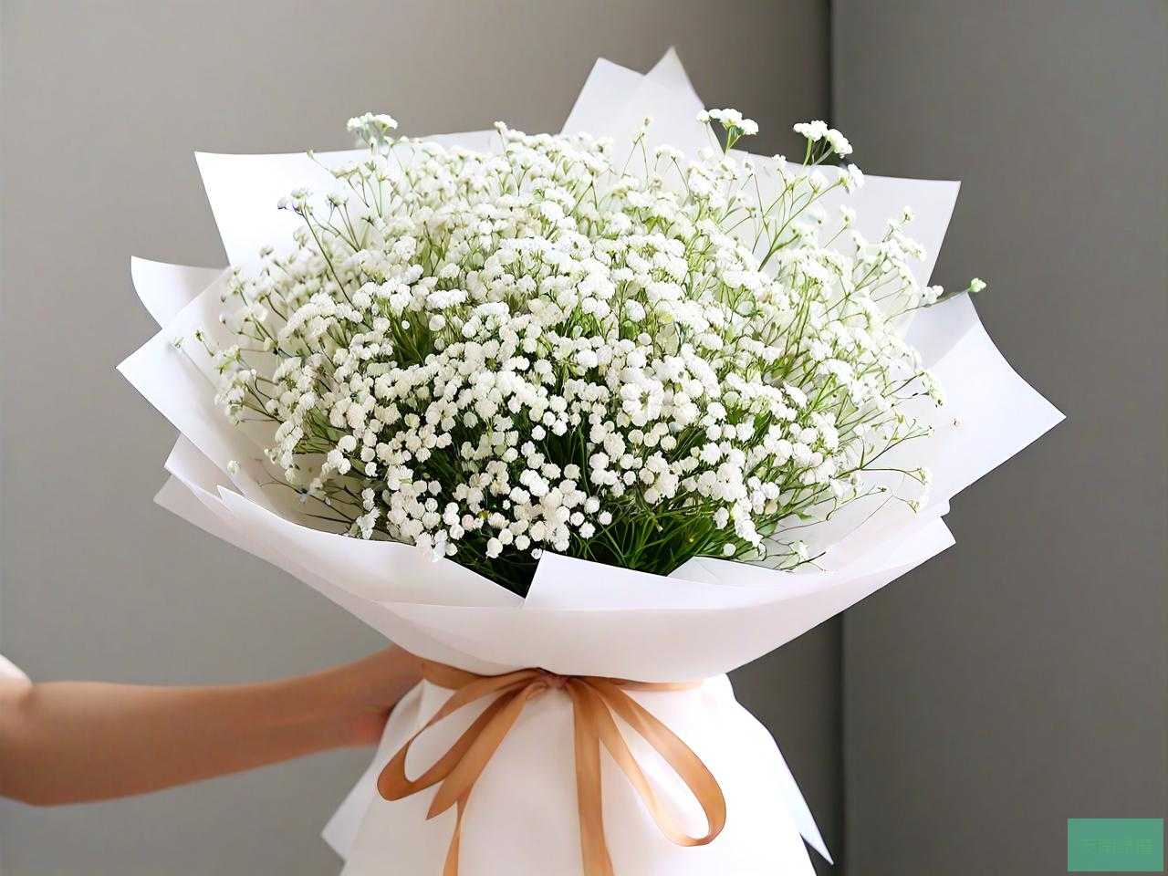 满天星花束一般多少钱