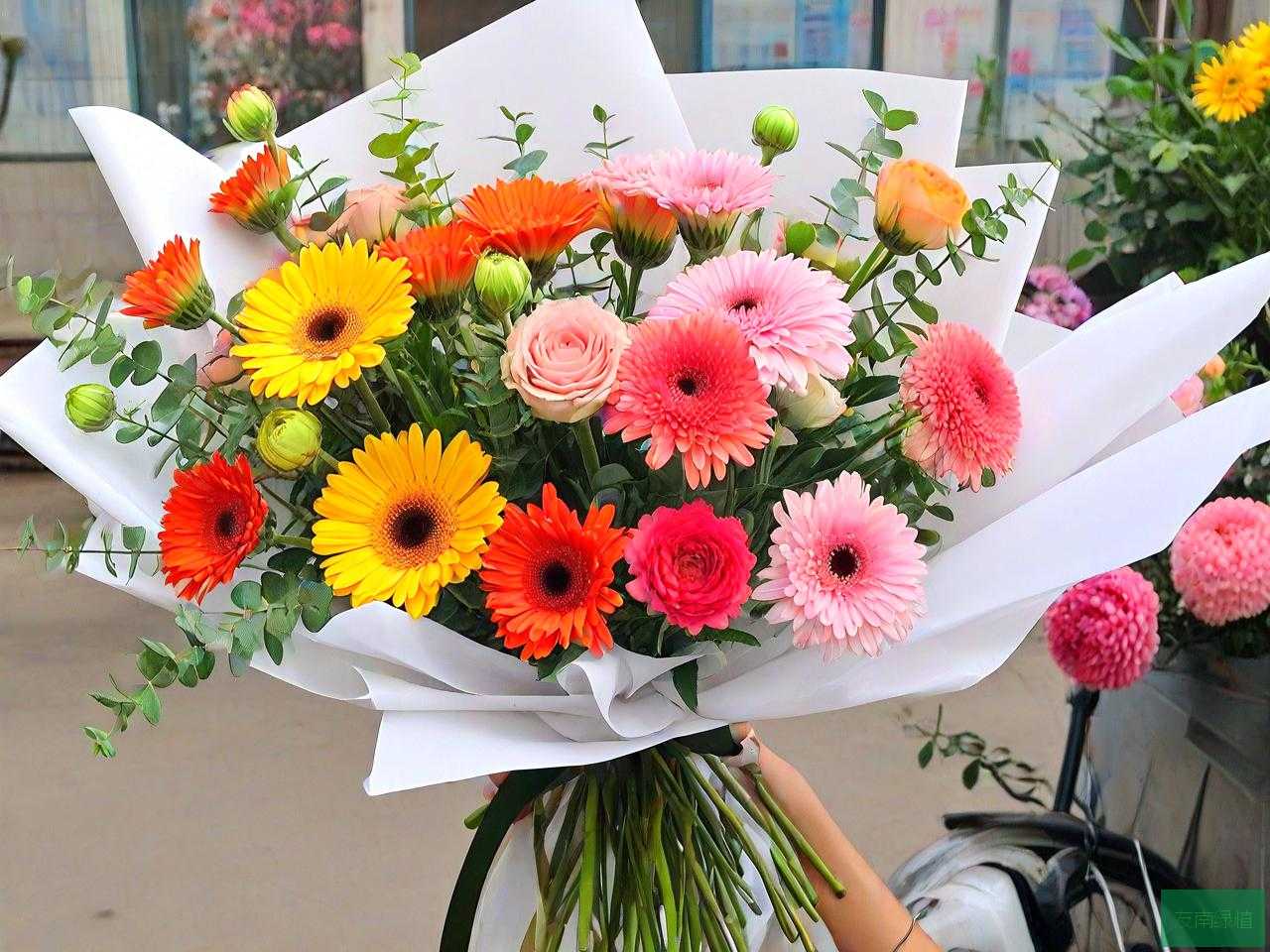 石家庄哪里有鲜花批发市场