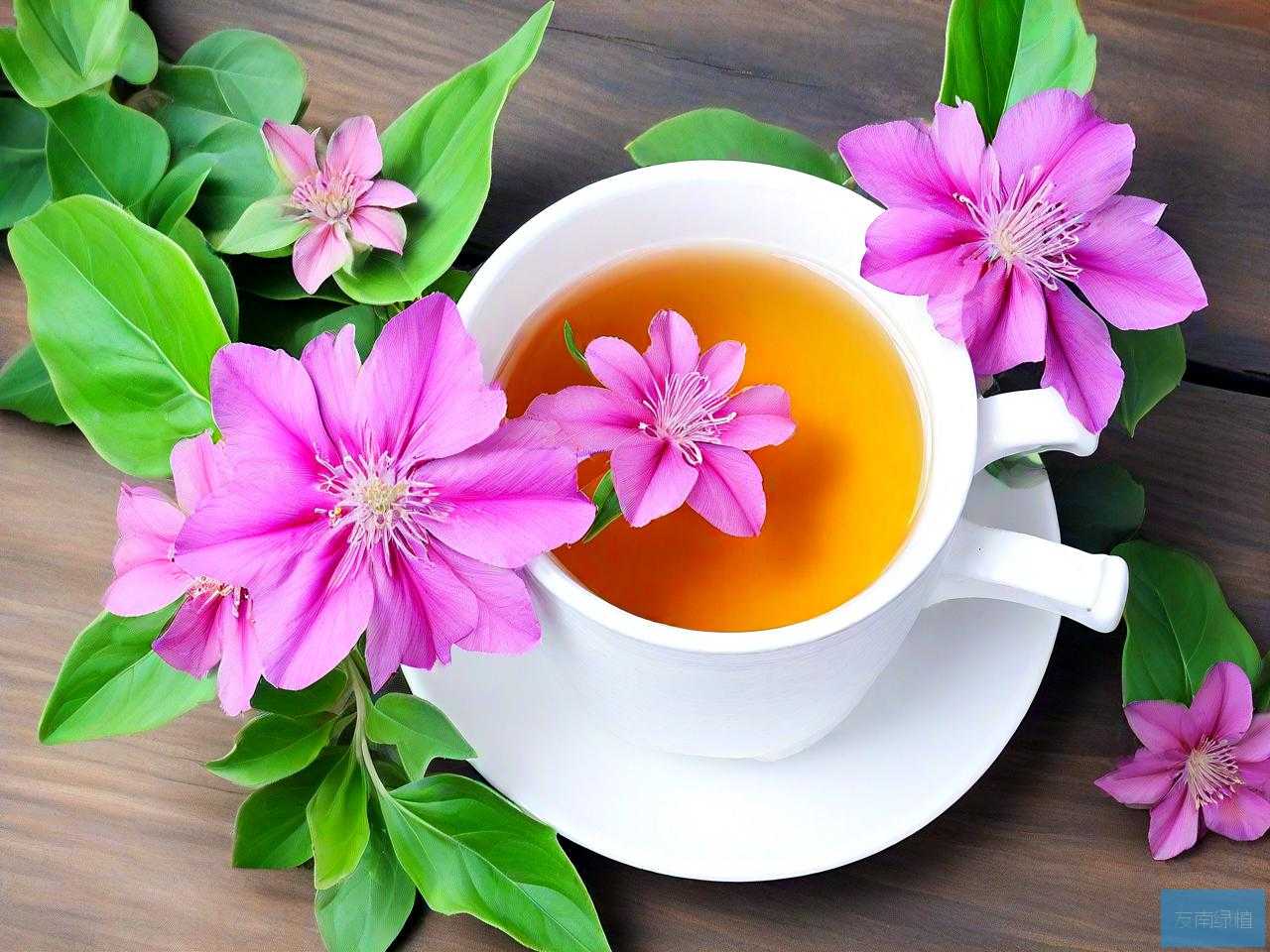 三七花每天喝有坏处吗