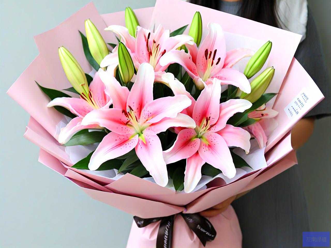 花店百合花多少钱一朵