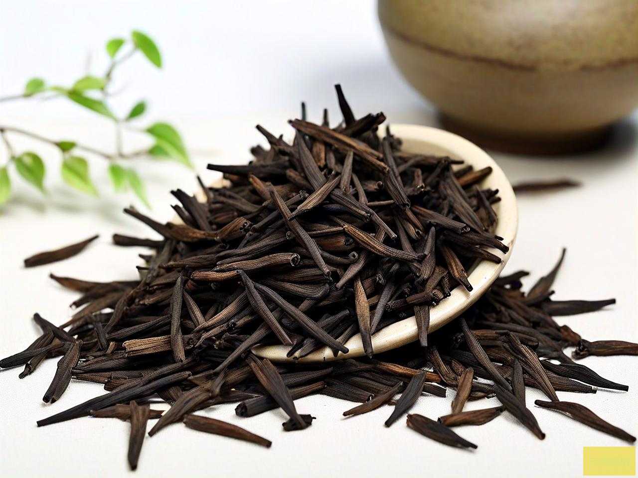 奇楠沉香种子催芽方法