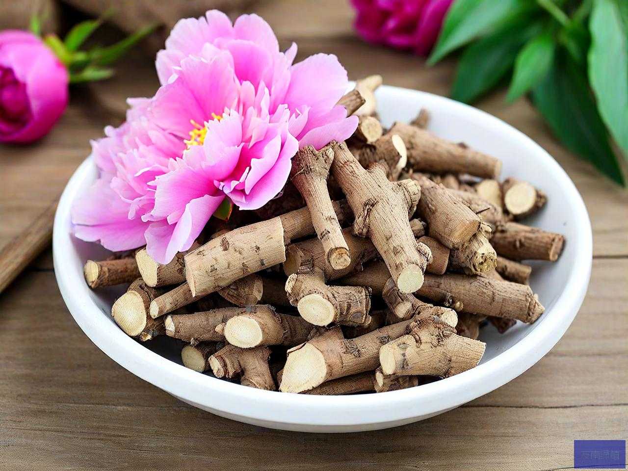 芍药根价格多少钱一斤