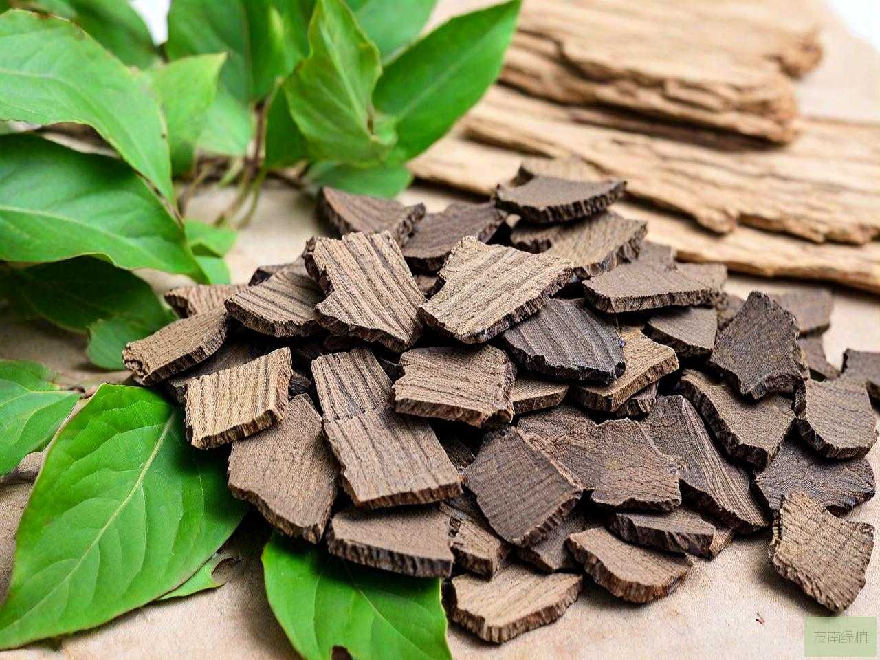 生杜仲和炒杜仲的区别