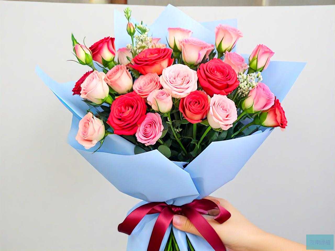 老婆过生日订什么花好