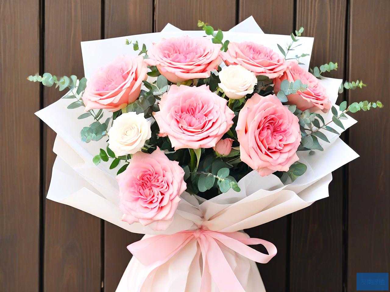 生日送老婆花送什么花好