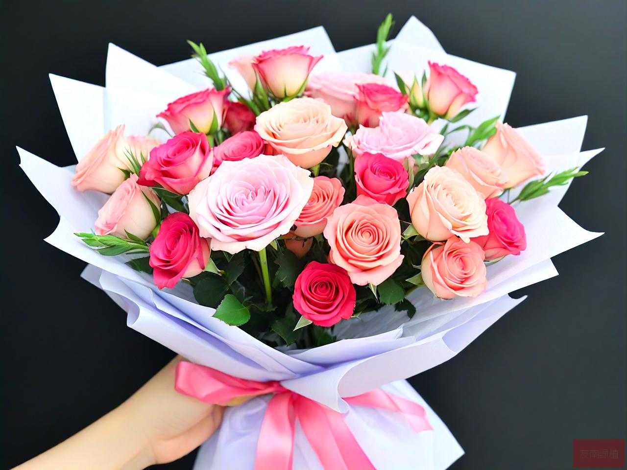 闺蜜18岁生日送什么花