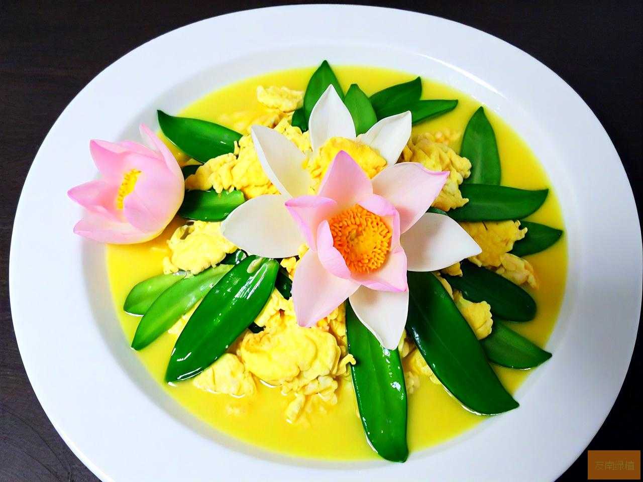 荷花炒鸡蛋有什么作用
