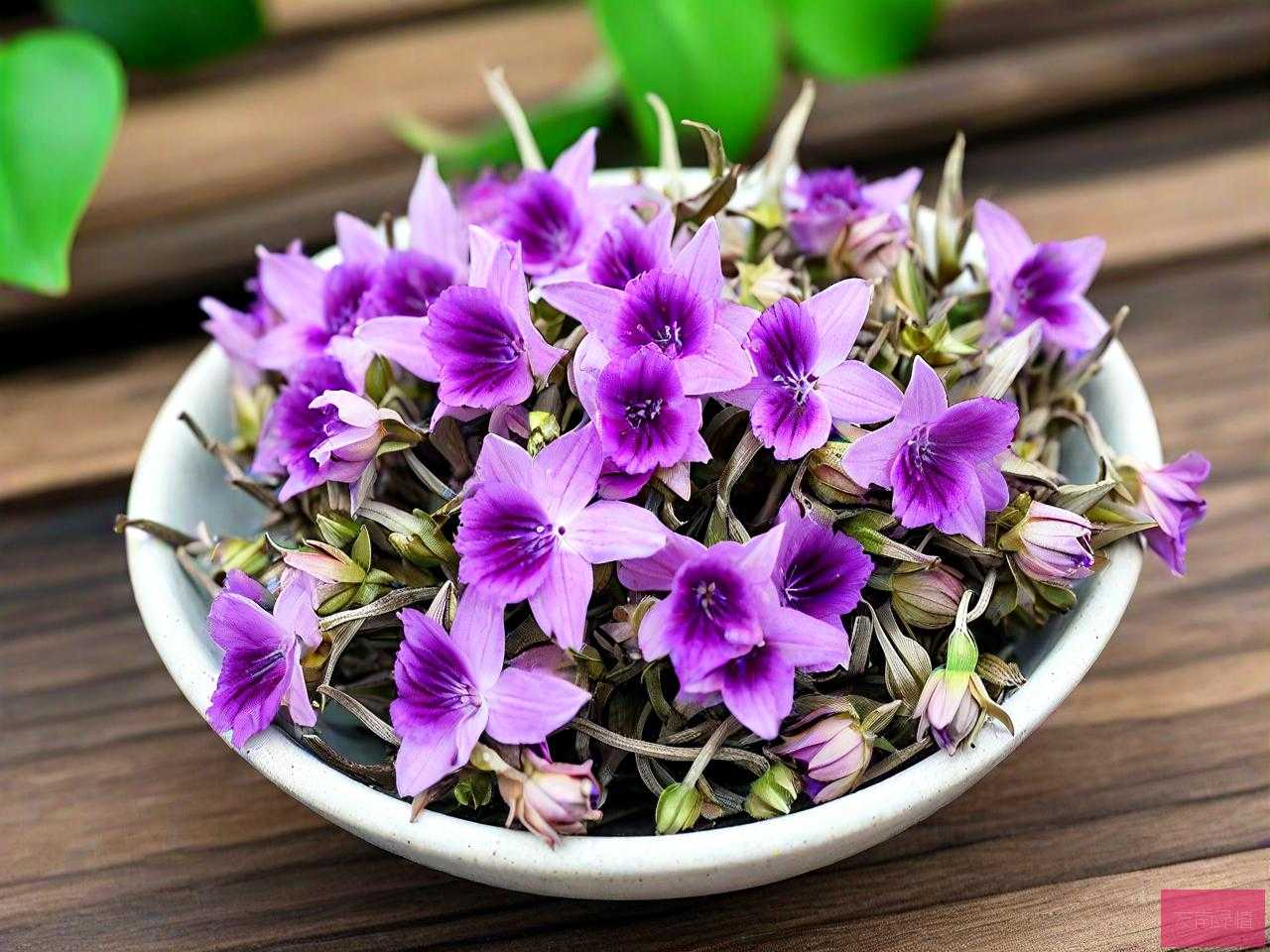 干的铁皮石斛花怎么吃