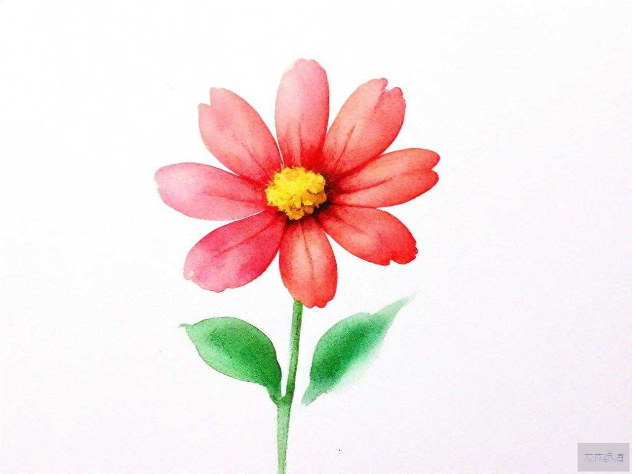 简单的小花怎么做手工