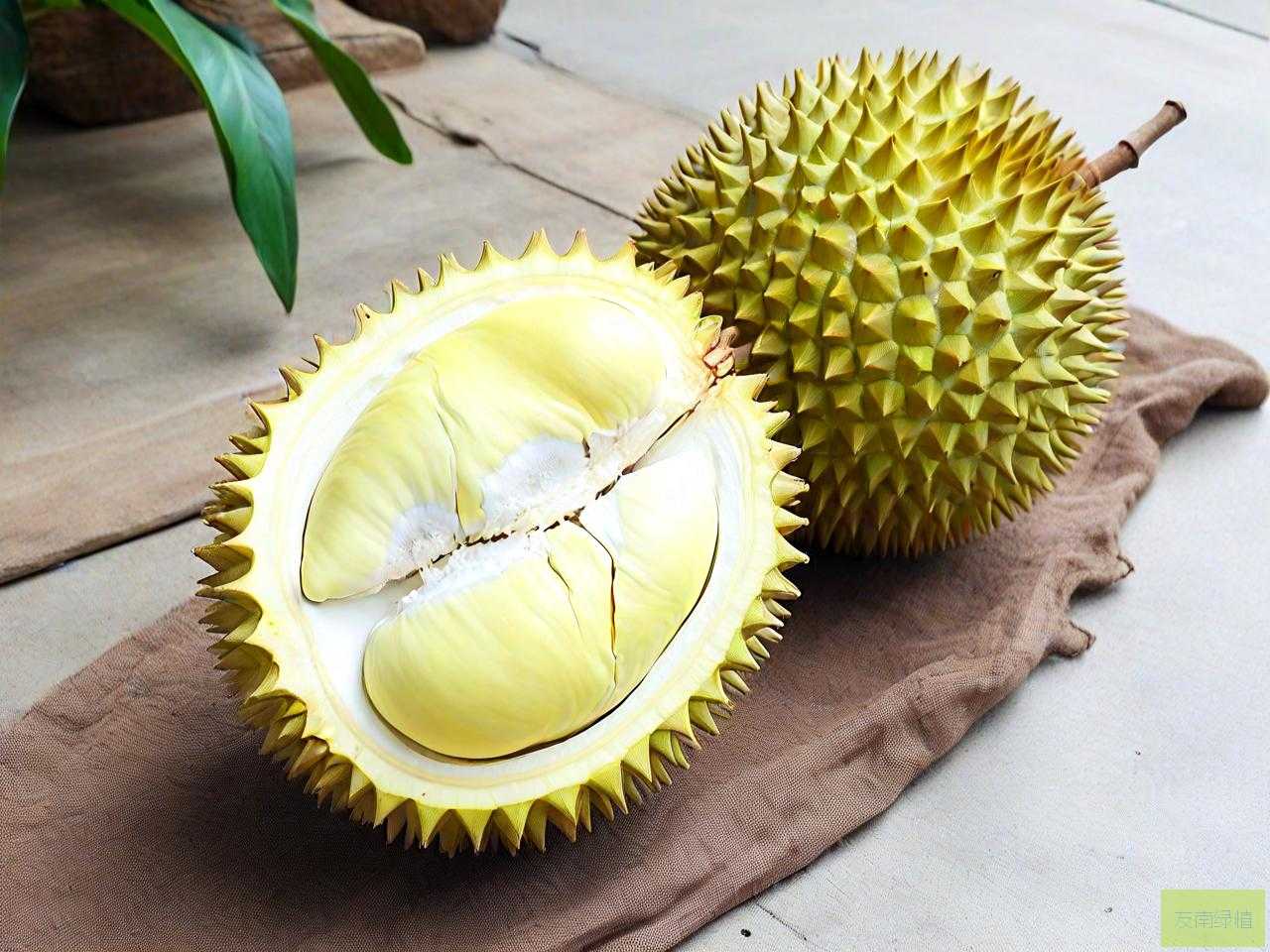 榴莲种子发芽能结果吗
