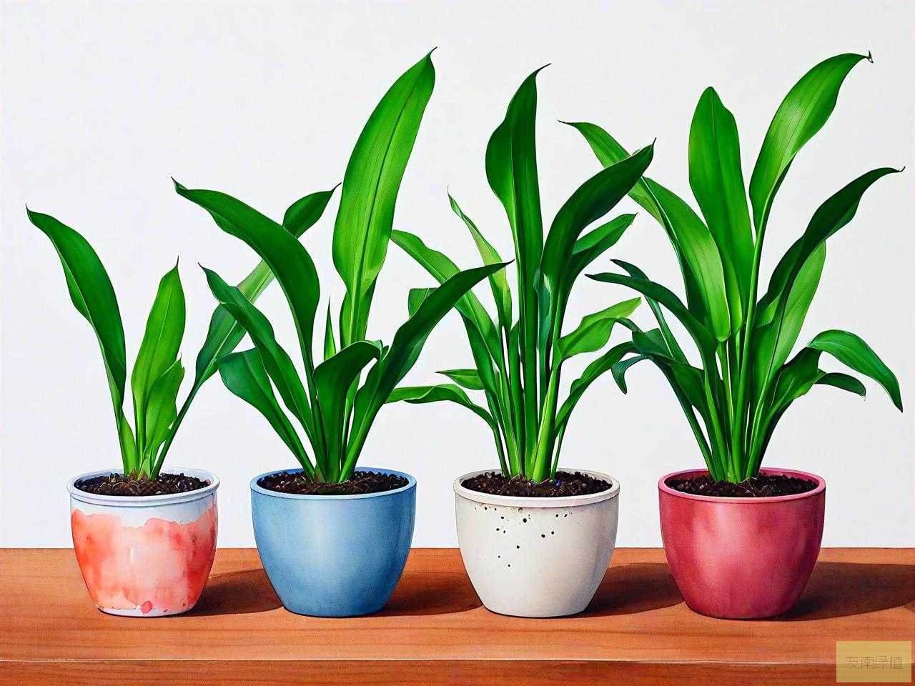 水养植物有虫怎么处理