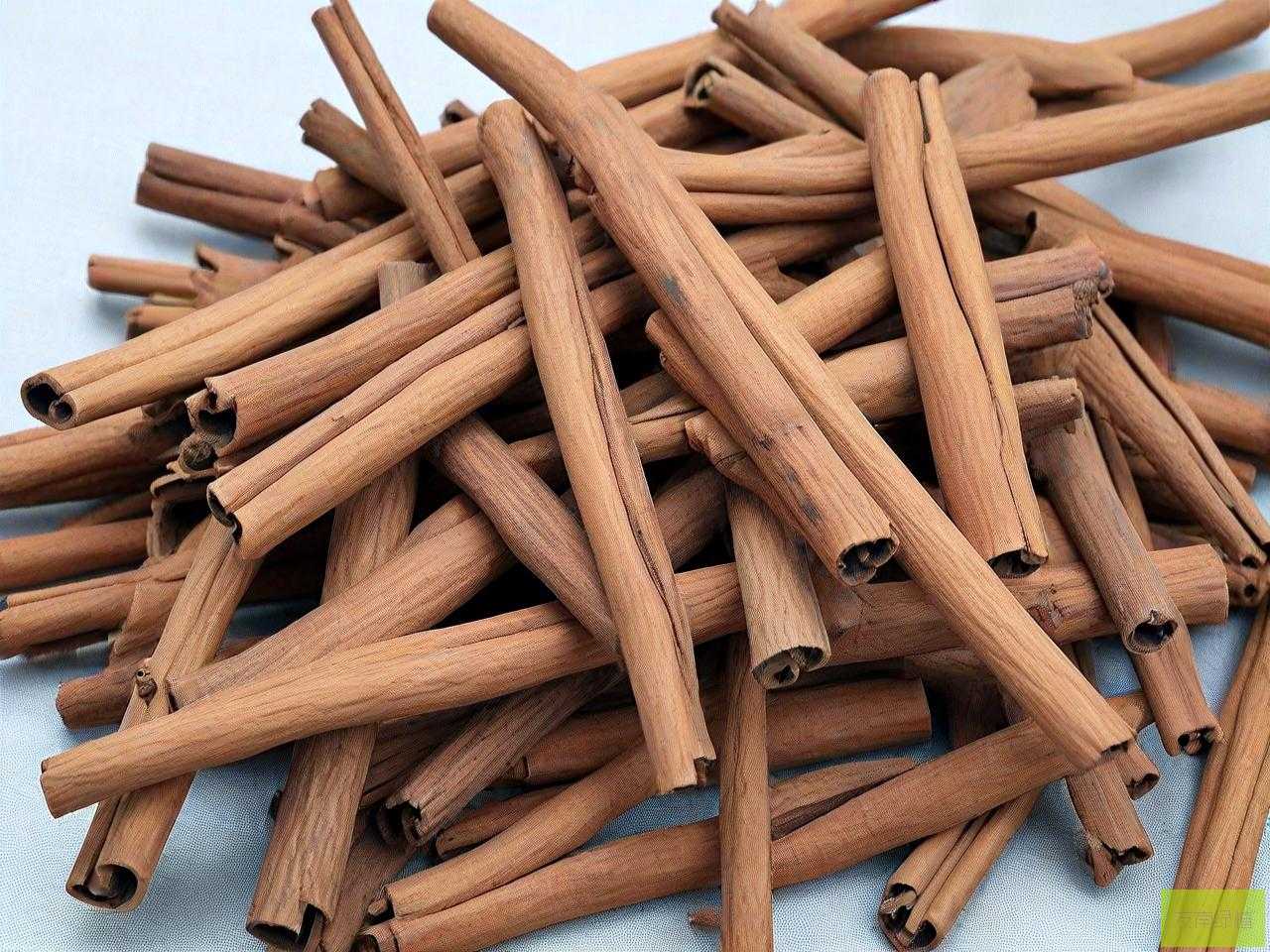 桂皮批发价多少钱一斤