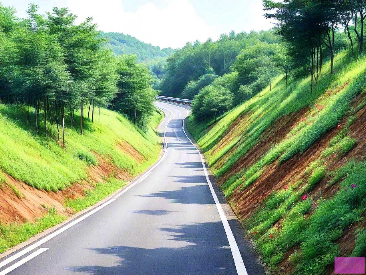 高速公路边坡绿化植物