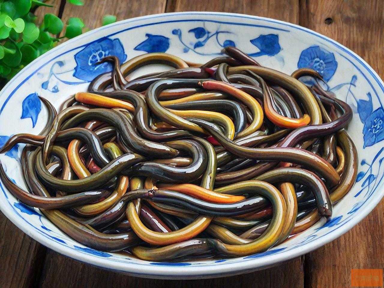 安徽芜湖有黄鳝苗卖吗