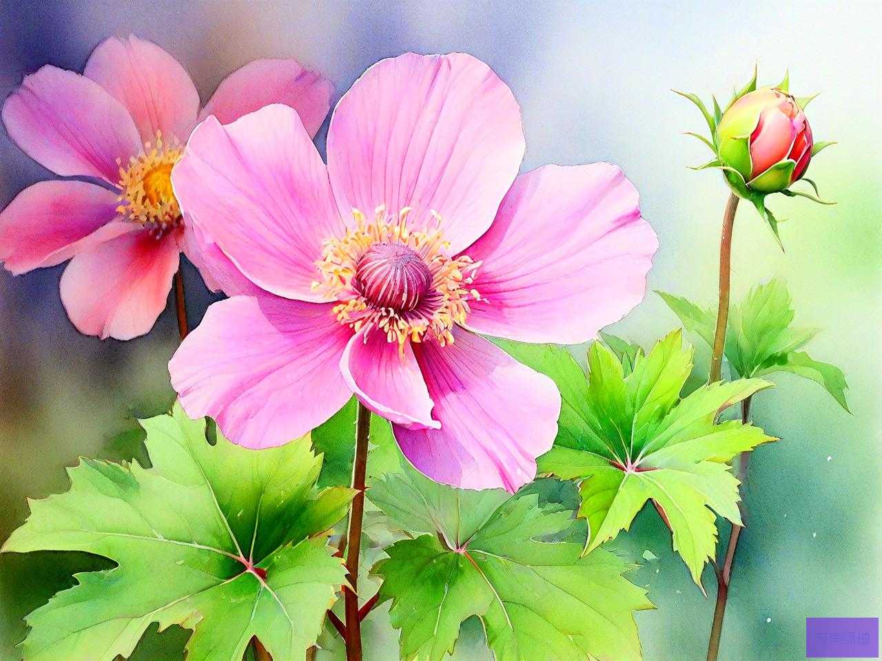 哪些花是种子种出来的