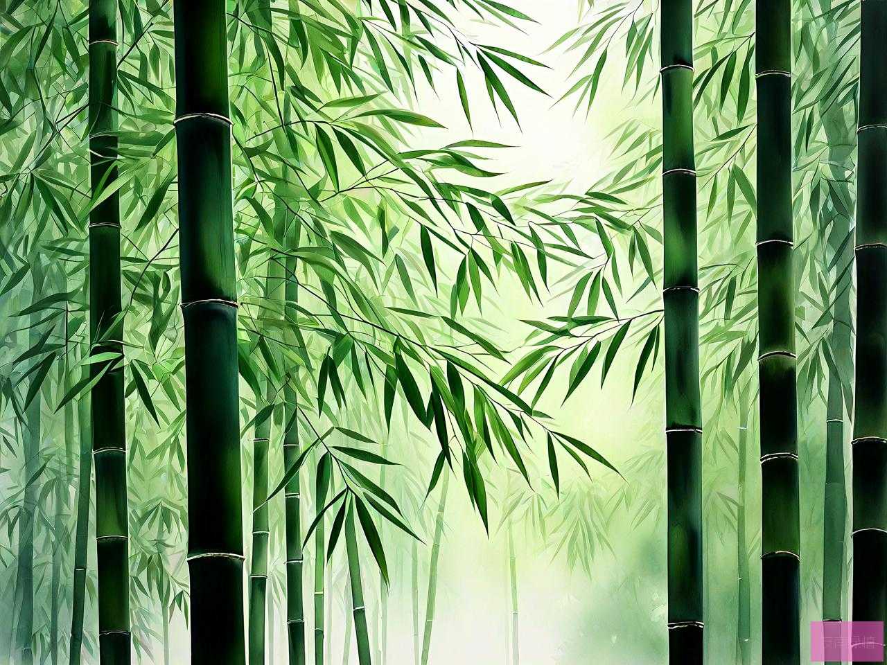 树叶像竹子叶是什么树