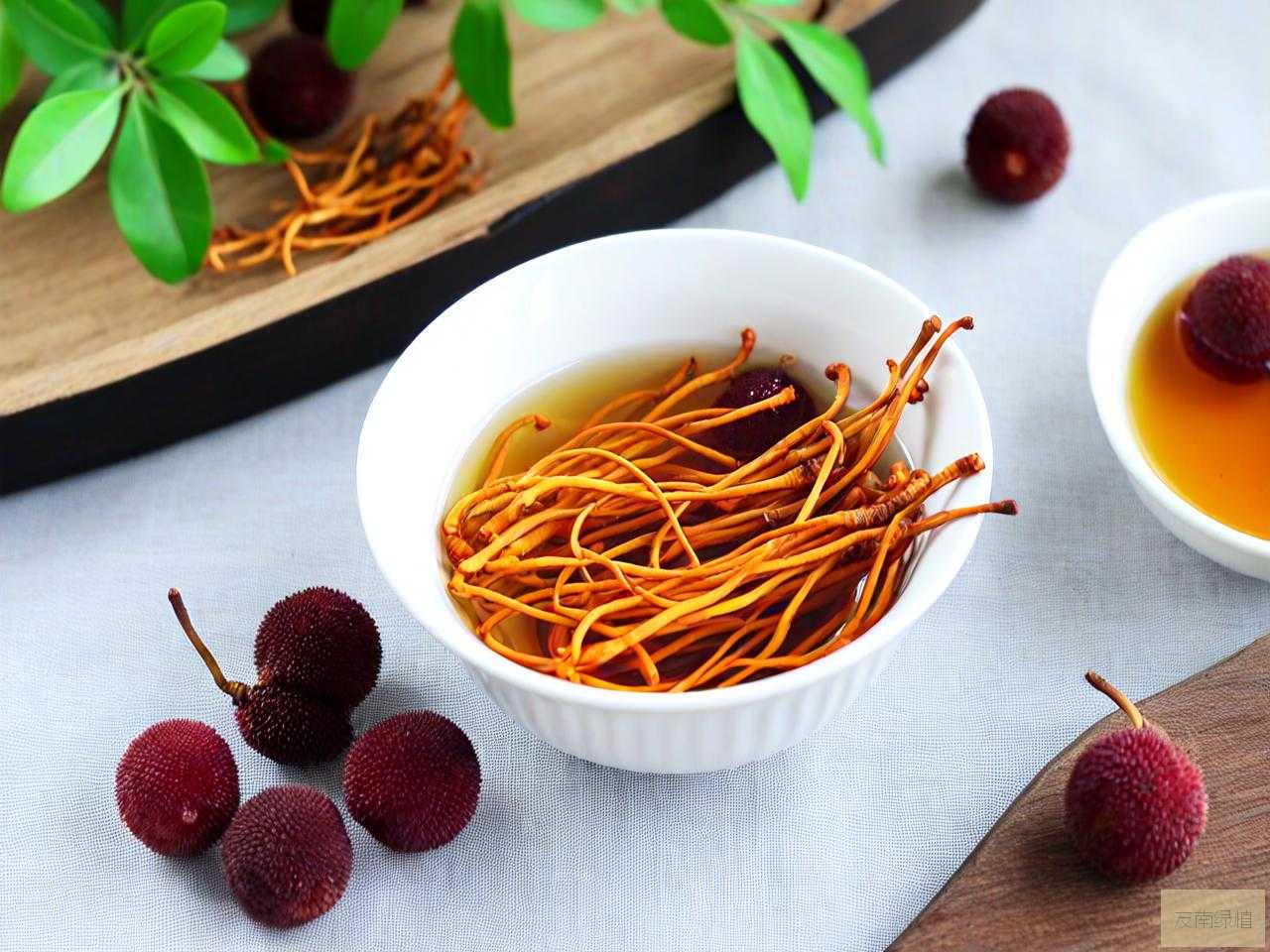 虫草花和杨梅泡酒作用