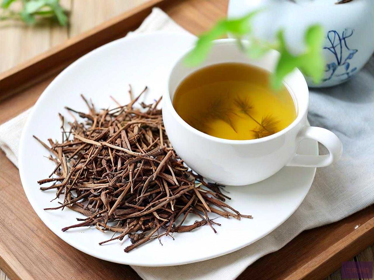 蒲公英根茶哪个牌子好