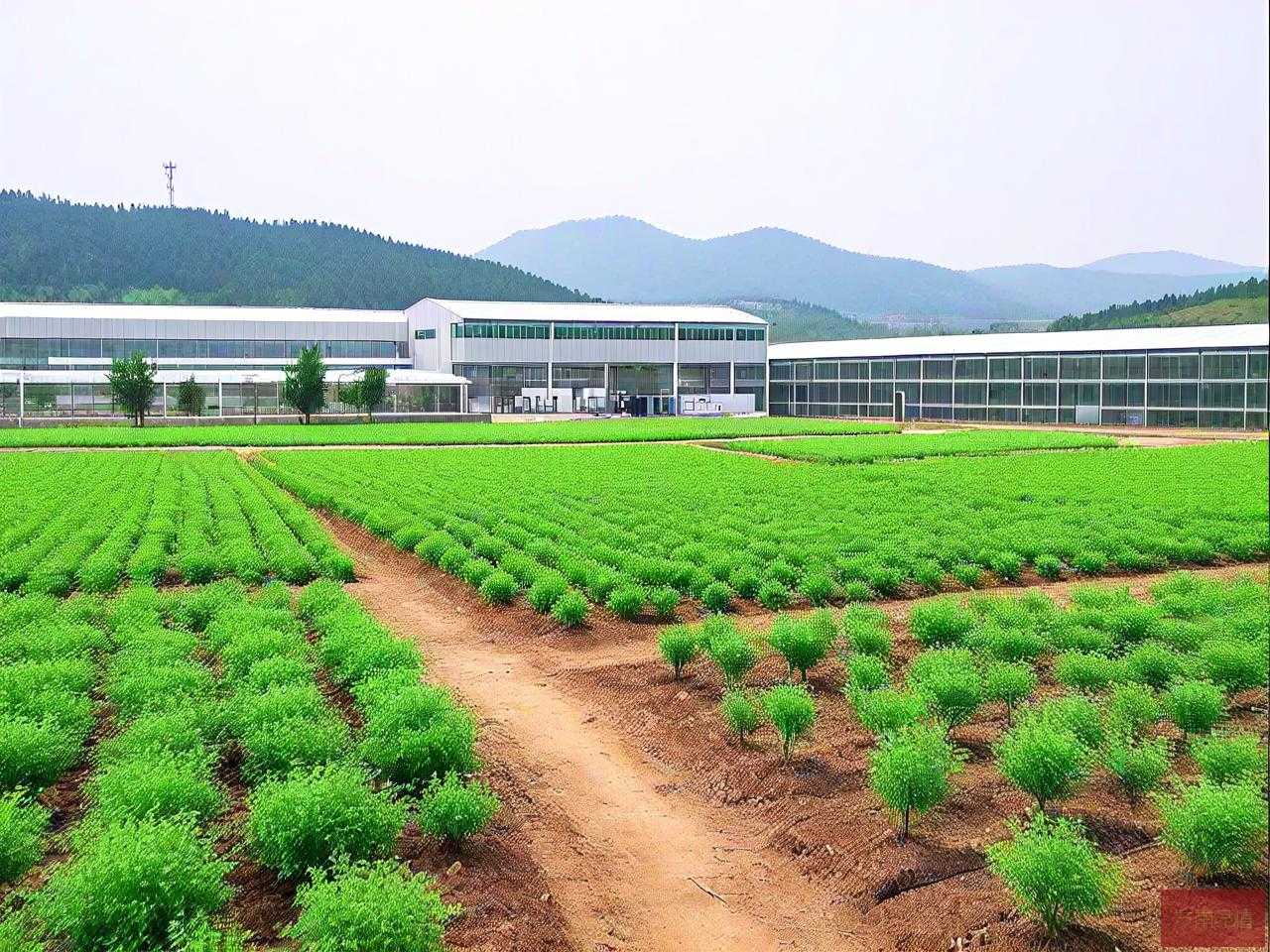 山东省农科院种苗基地