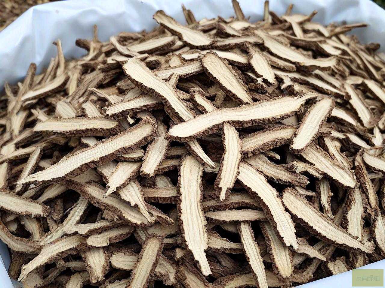 哪里有批发苍术种子的