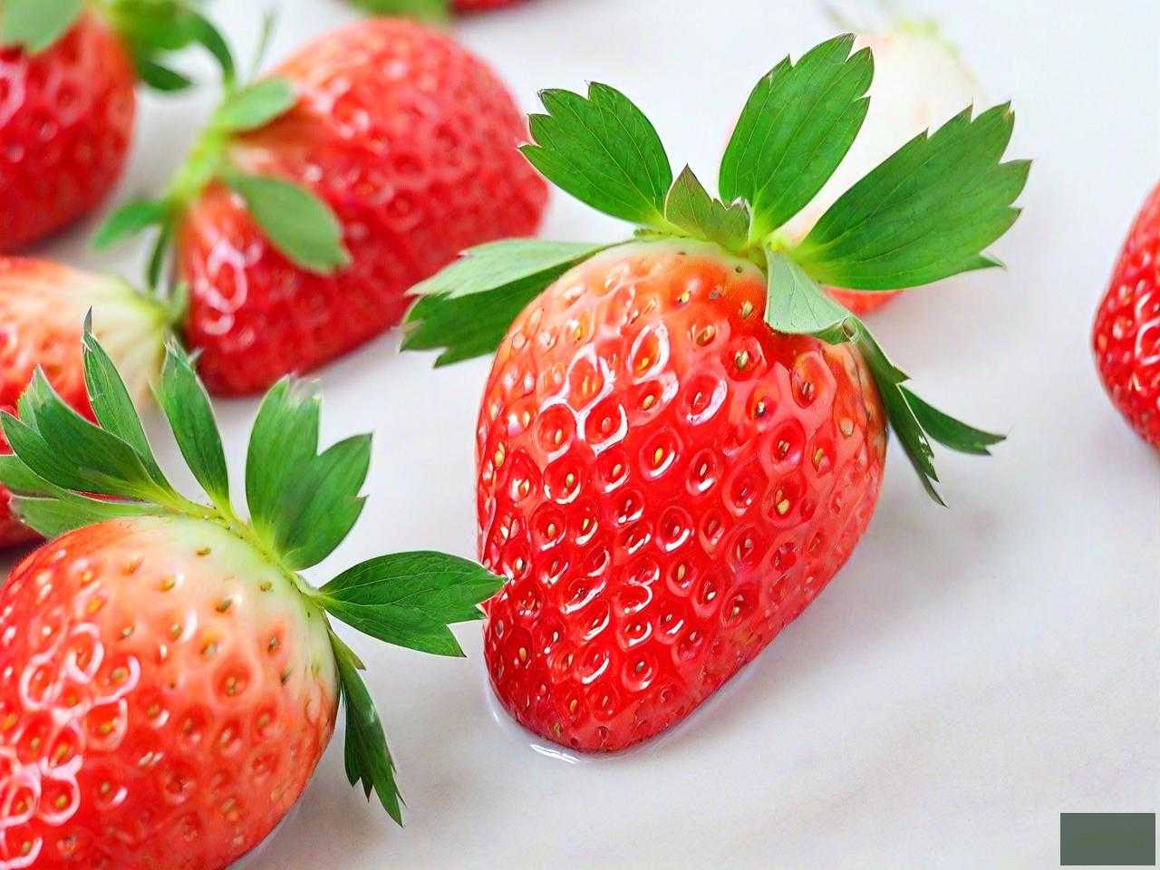 奶油草莓种子怎么催芽