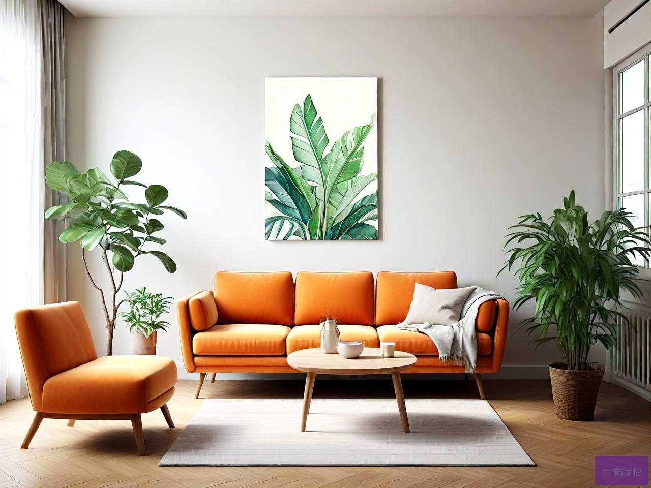 什么植物适合放在客厅